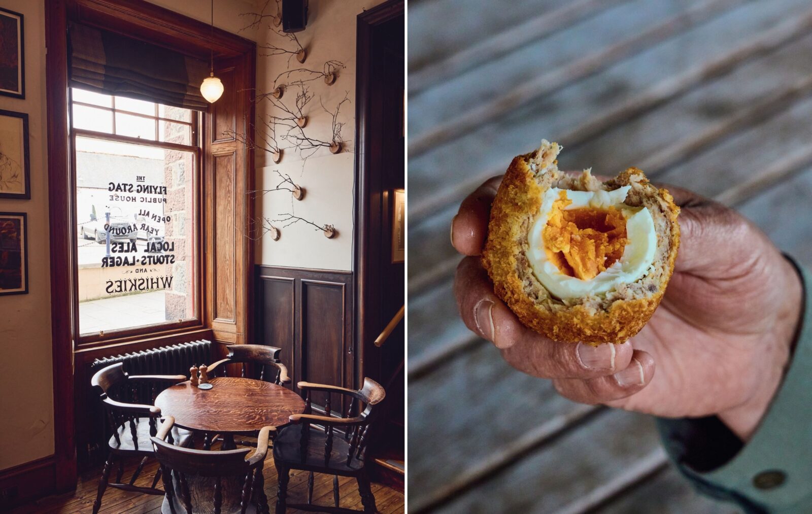 A cozy bar with a taxidermy deer with wings; a hand holds a Scotch egg