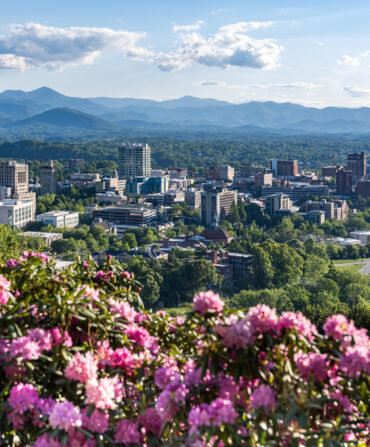 A city landscape in the mountains with pink flowers in bloom in the forefront