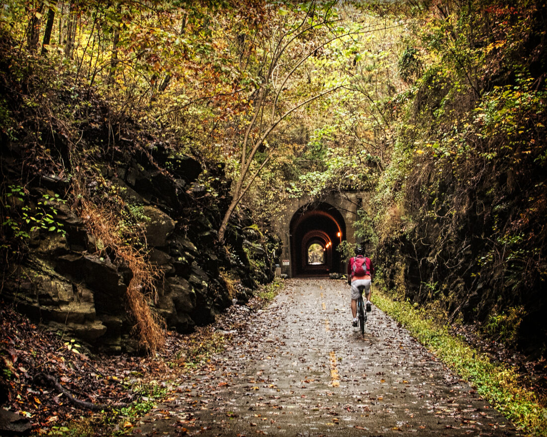 a cyclist on a trail