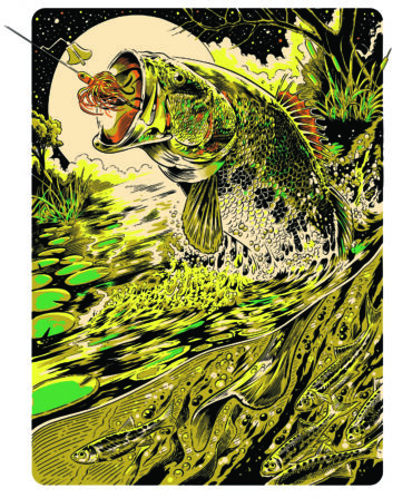 an illustration of a bass