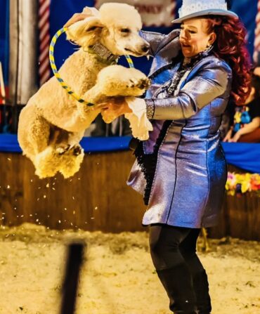 a dog jumping through a hoop