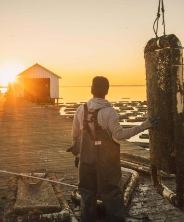 An oyster farmer watches a sunset on a dock