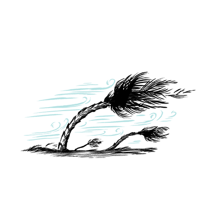 You’re riding out a hurricane